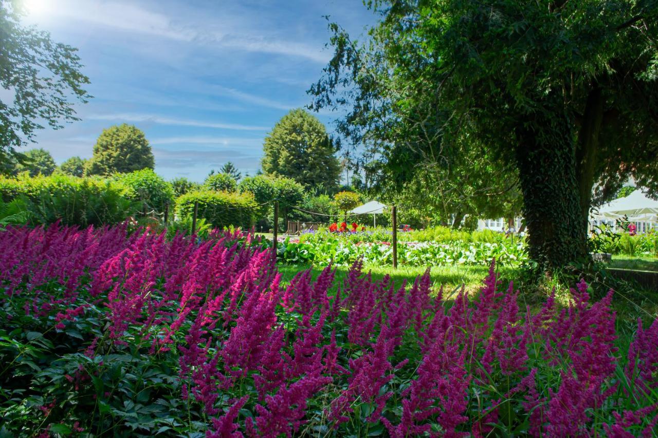 Vila Rozalia Garden Gate Bed & Breakfast Avrig Exterior photo